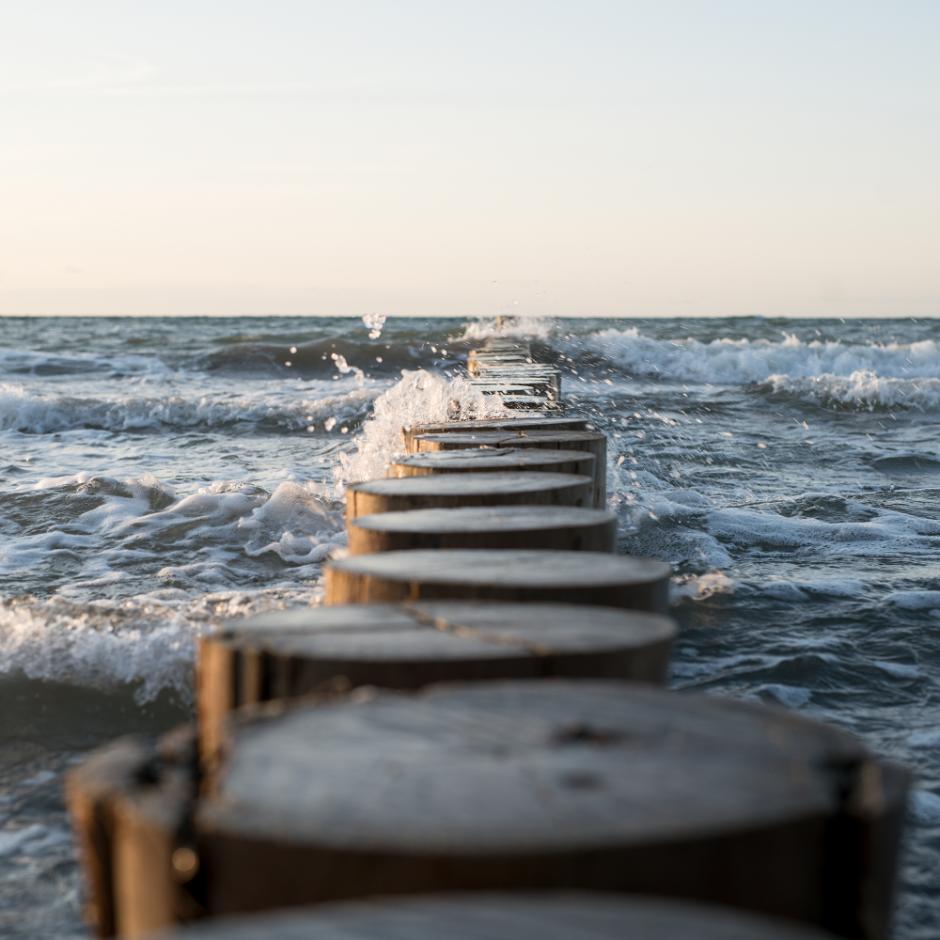 Møder og events ved havet