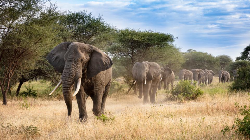 Our travels to Tanzania