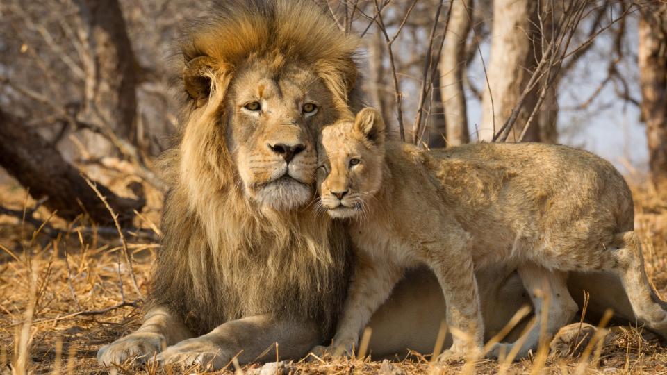Our travels to South Africa